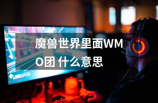 魔兽世界里面WMO团 什么意思-第1张-游戏资讯-智辉网络