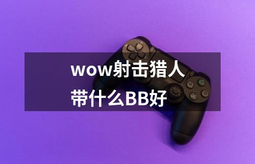 wow射击猎人带什么BB好-第1张-游戏资讯-智辉网络