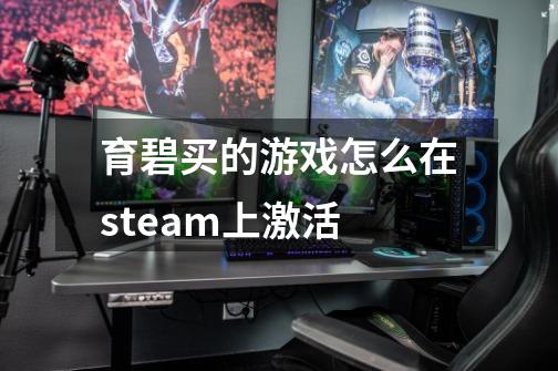 育碧买的游戏怎么在steam上激活-第1张-游戏资讯-智辉网络