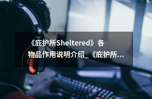 《庇护所Sheltered》各物品作用说明介绍_《庇护所Sheltered》各物品作用说明是什么-第1张-游戏资讯-智辉网络