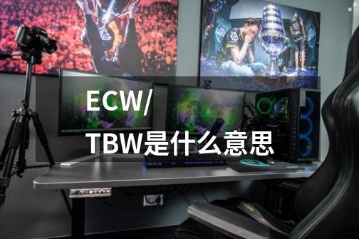 ECW/TBW是什么意思-第1张-游戏资讯-智辉网络