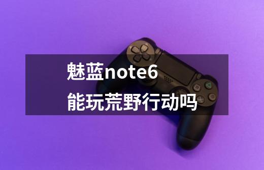 魅蓝note6能玩荒野行动吗-第1张-游戏资讯-智辉网络