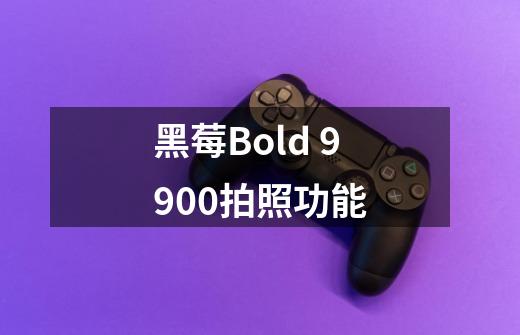 黑莓Bold 9900拍照功能-第1张-游戏资讯-智辉网络