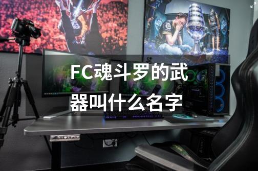 FC魂斗罗的武器叫什么名字-第1张-游戏资讯-智辉网络