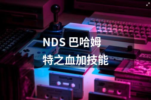 NDS 巴哈姆特之血加技能-第1张-游戏资讯-智辉网络