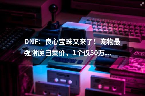 DNF：良心宝珠又来了！宠物最强附魔白菜价，1个仅50万金币-第1张-游戏资讯-智辉网络