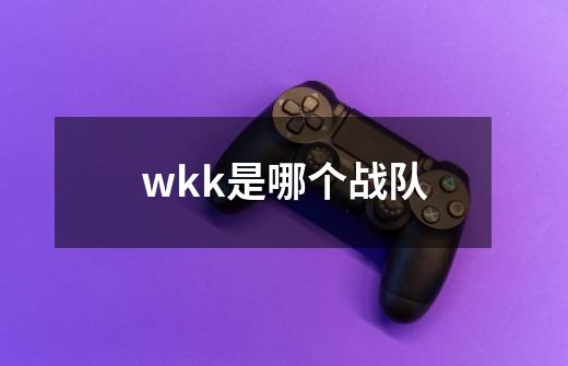 wkk是哪个战队-第1张-游戏资讯-智辉网络