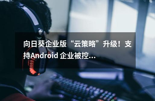 向日葵企业版“云策略”升级！支持Android 企业被控端策略设置-第1张-游戏资讯-智辉网络