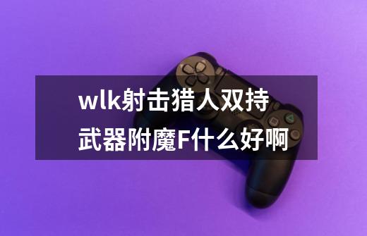 wlk射击猎人双持武器附魔F什么好啊-第1张-游戏资讯-智辉网络