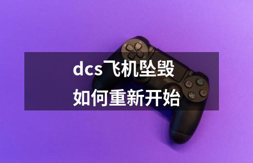 dcs飞机坠毁如何重新开始-第1张-游戏资讯-智辉网络