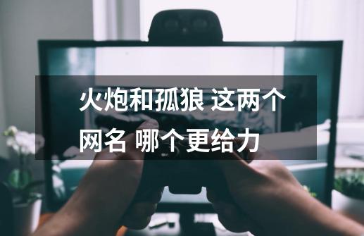 火炮和孤狼 这两个网名 哪个更给力-第1张-游戏资讯-智辉网络