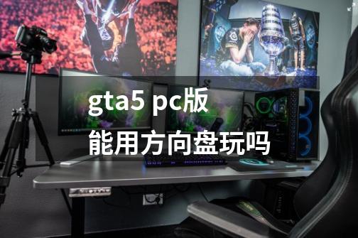 gta5 pc版能用方向盘玩吗-第1张-游戏资讯-智辉网络