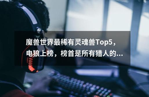 魔兽世界最稀有灵魂兽Top5，电狼上榜，榜首是所有猎人的梦想-第1张-游戏资讯-智辉网络