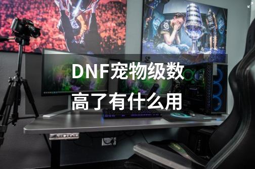 DNF宠物级数高了有什么用-第1张-游戏资讯-智辉网络