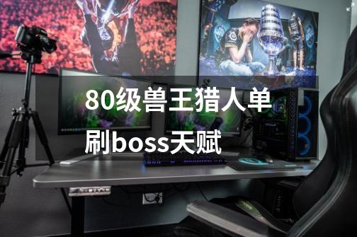 80级兽王猎人单刷boss天赋-第1张-游戏资讯-智辉网络