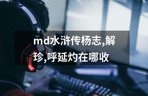 md水浒传杨志,解珍,呼延灼在哪收-第1张-游戏资讯-智辉网络