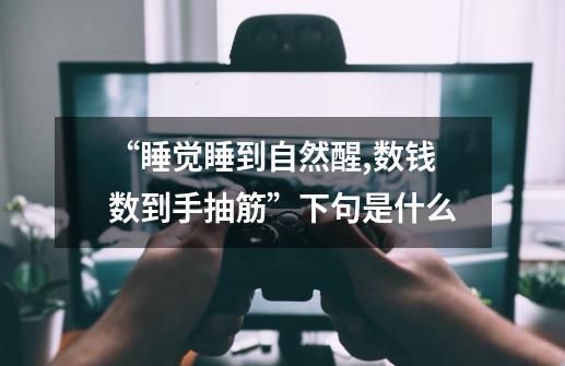 “睡觉睡到自然醒,数钱数到手抽筋”下句是什么-第1张-游戏资讯-智辉网络