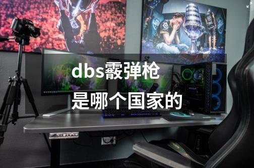 dbs霰弹枪是哪个国家的-第1张-游戏资讯-智辉网络