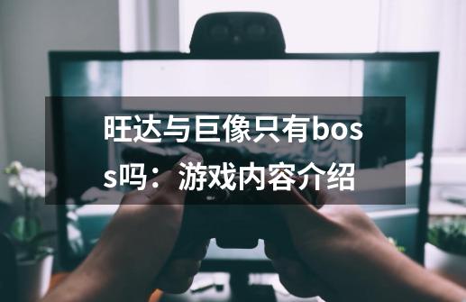 旺达与巨像只有boss吗：游戏内容介绍-第1张-游戏资讯-智辉网络