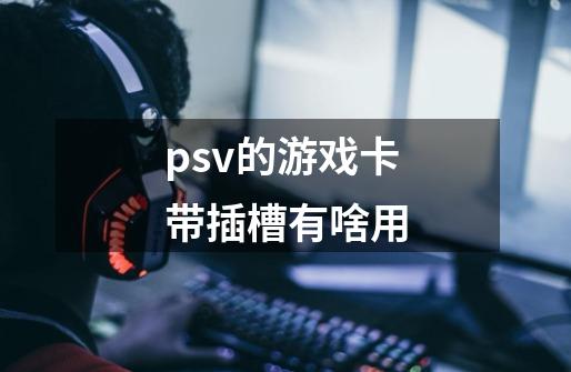 psv的游戏卡带插槽有啥用-第1张-游戏资讯-智辉网络