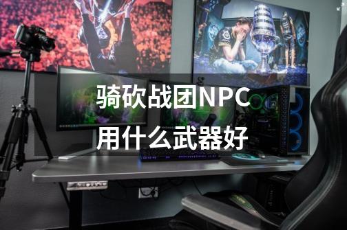 骑砍战团NPC用什么武器好-第1张-游戏资讯-智辉网络