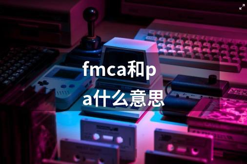 fmca和pa什么意思-第1张-游戏资讯-智辉网络