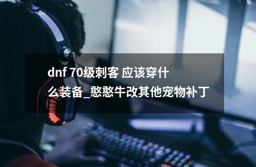 dnf 70级刺客 应该穿什么装备?_憨憨牛改其他宠物补丁-第1张-游戏资讯-智辉网络