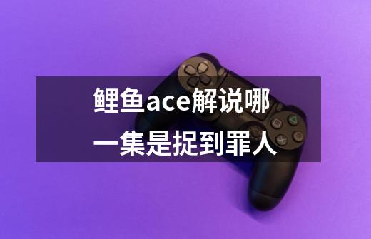 鲤鱼ace解说哪一集是捉到罪人-第1张-游戏资讯-智辉网络