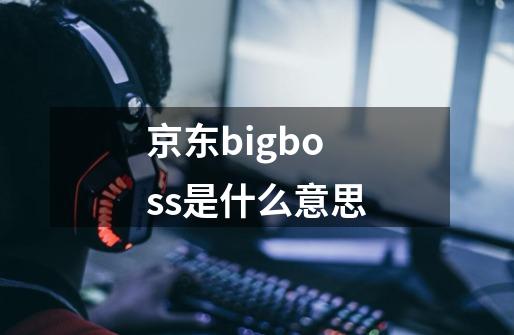 京东bigboss是什么意思-第1张-游戏资讯-智辉网络