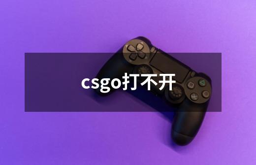 csgo打不开-第1张-游戏资讯-智辉网络