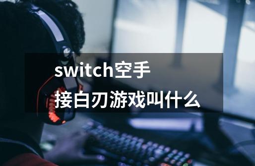 switch空手接白刃游戏叫什么-第1张-游戏资讯-智辉网络