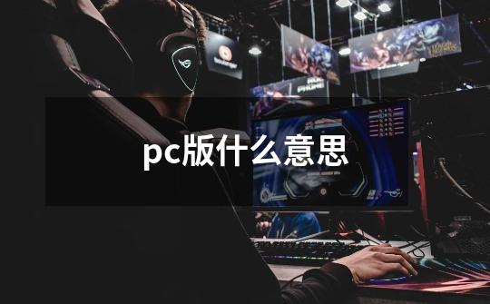 pc版什么意思-第1张-游戏资讯-智辉网络