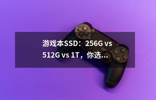 游戏本SSD：256G vs 512G vs 1T，你选哪个-第1张-游戏资讯-智辉网络