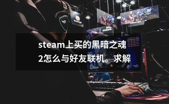 steam上买的黑暗之魂2怎么与好友联机。求解-第1张-游戏资讯-智辉网络