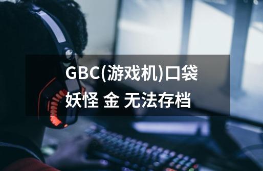 GBC(游戏机)口袋妖怪 金 无法存档-第1张-游戏资讯-智辉网络