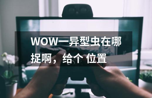 WOW一异型虫在哪捉啊，给个 位置-第1张-游戏资讯-智辉网络