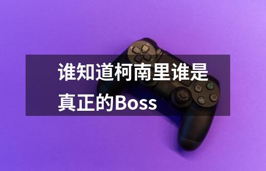 谁知道柯南里谁是真正的Boss-第1张-游戏资讯-智辉网络