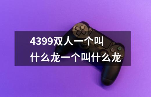 4399双人一个叫什么龙一个叫什么龙-第1张-游戏资讯-智辉网络