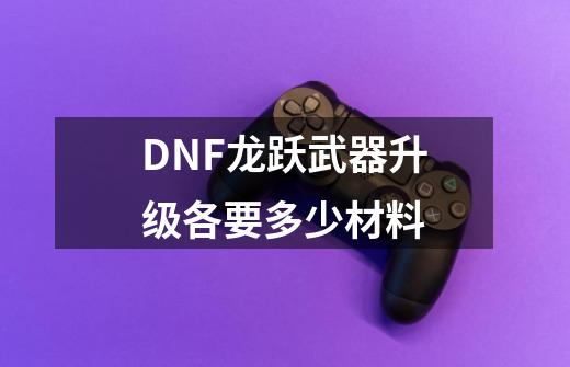 DNF龙跃武器升级各要多少材料-第1张-游戏资讯-智辉网络