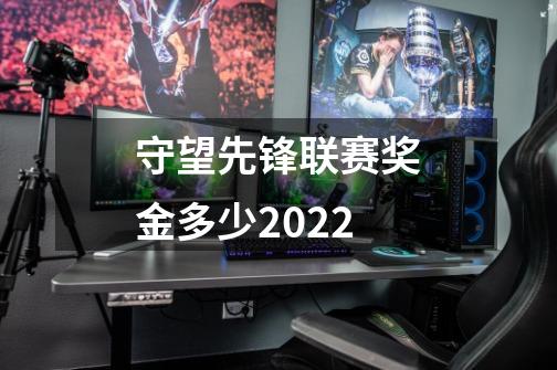 守望先锋联赛奖金多少2022-第1张-游戏资讯-智辉网络