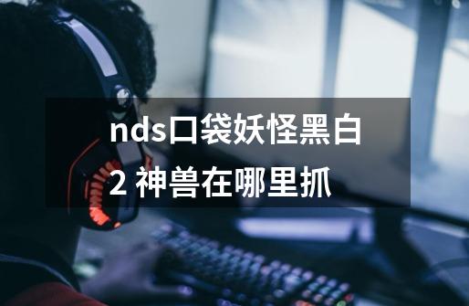 nds口袋妖怪黑白2 神兽在哪里抓-第1张-游戏资讯-智辉网络