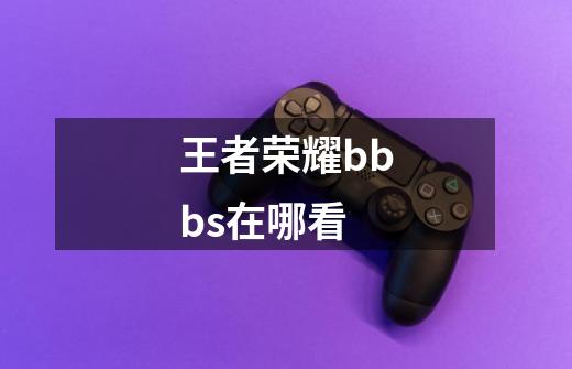 王者荣耀bbbs在哪看-第1张-游戏资讯-智辉网络