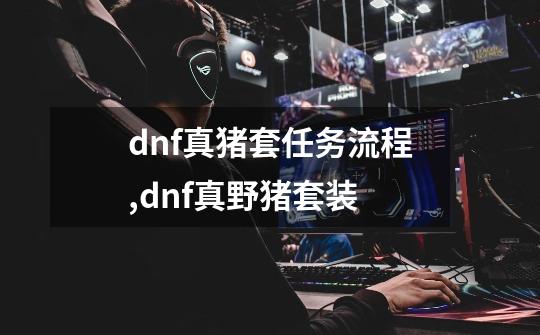 dnf真猪套任务流程,dnf真野猪套装-第1张-游戏资讯-智辉网络