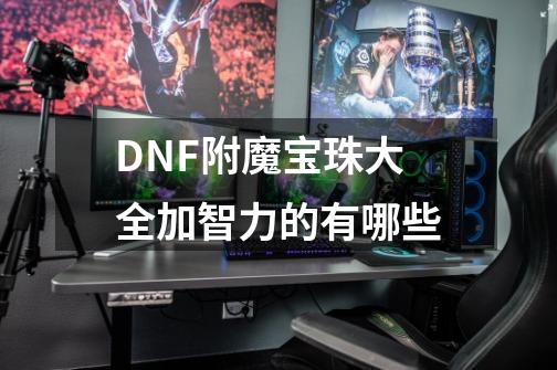 DNF附魔宝珠大全加智力的有哪些-第1张-游戏资讯-智辉网络