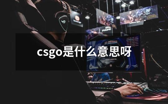 csgo是什么意思呀-第1张-游戏资讯-智辉网络