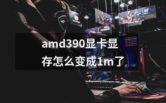 amd390显卡显存怎么变成1m了-第1张-游戏资讯-智辉网络