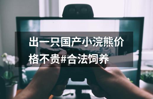 出一只国产小浣熊价格不贵#合法饲养-第1张-游戏资讯-智辉网络