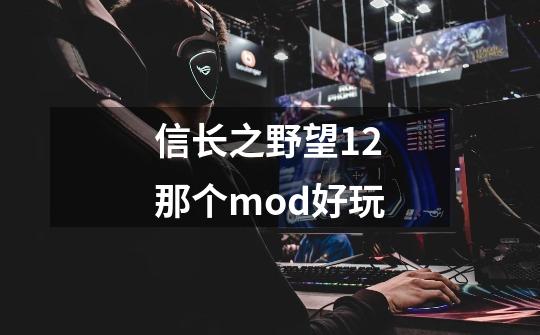 信长之野望12那个mod好玩-第1张-游戏资讯-智辉网络