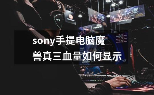 sony手提电脑魔兽真三血量如何显示-第1张-游戏资讯-智辉网络