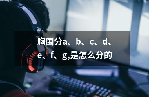 胸围分a、b、c、d、e、f、g,是怎么分的-第1张-游戏资讯-智辉网络